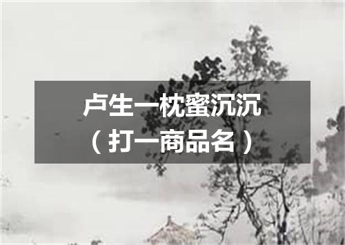 卢生一枕蜜沉沉（打一商品名）