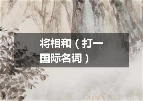 将相和（打一国际名词）