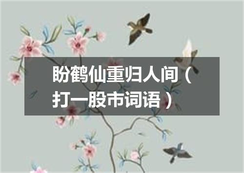 盼鹤仙重归人间（打一股市词语）