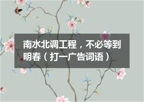 南水北调工程，不必等到明春（打一广告词语）