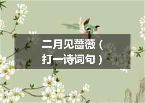 二月见蔷薇（打一诗词句）