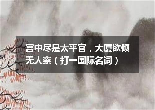 宫中尽是太平官，大厦欲倾无人察（打一国际名词）