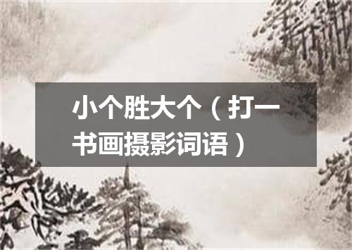 小个胜大个（打一书画摄影词语）