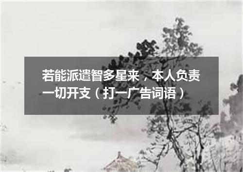 若能派遣智多星来，本人负责一切开支（打一广告词语）