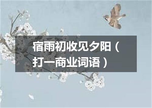 宿雨初收见夕阳（打一商业词语）