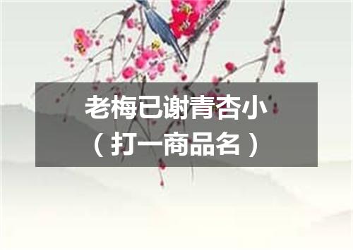 老梅已谢青杏小（打一商品名）