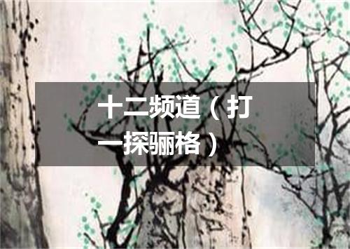 十二频道（打一探骊格）