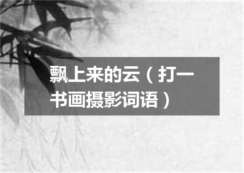 飘上来的云（打一书画摄影词语）