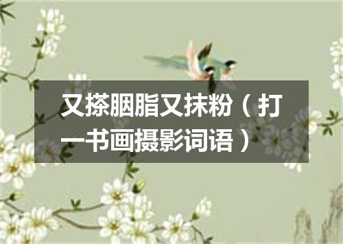 又搽胭脂又抹粉（打一书画摄影词语）