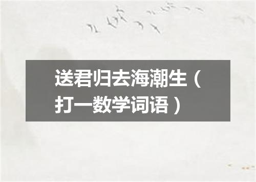 送君归去海潮生（打一数学词语）