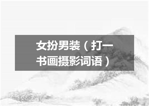 女扮男装（打一书画摄影词语）