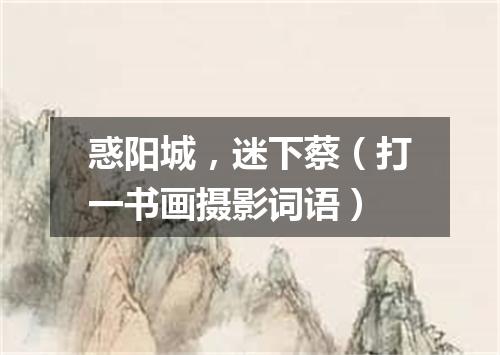 惑阳城，迷下蔡（打一书画摄影词语）