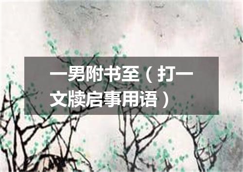 一男附书至（打一文牍启事用语）