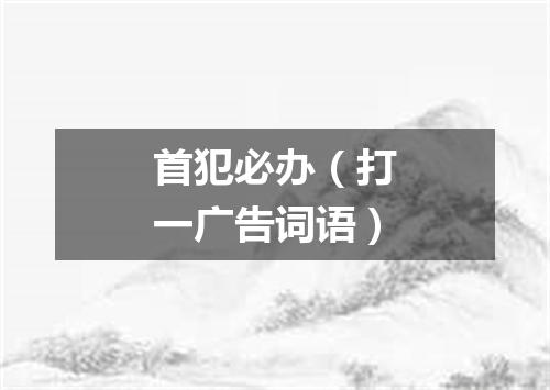 首犯必办（打一广告词语）