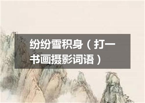 纷纷雪积身（打一书画摄影词语）