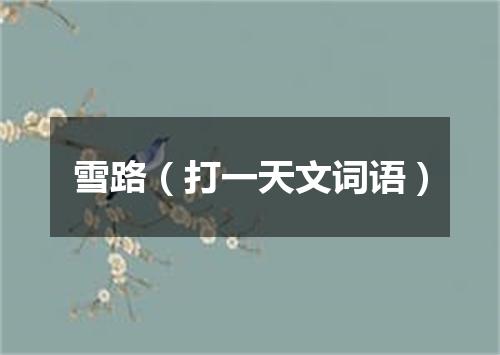 雪路（打一天文词语）
