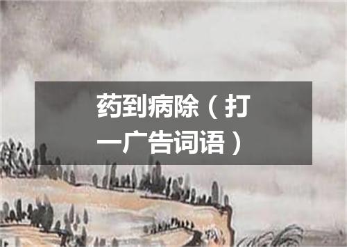 药到病除（打一广告词语）