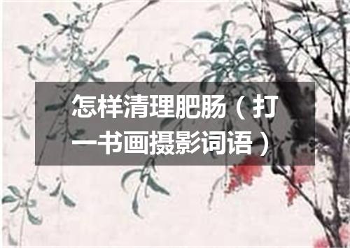 怎样清理肥肠（打一书画摄影词语）