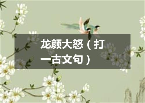 龙颜大怒（打一古文句）