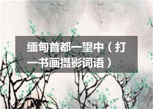 缅甸首都一望中（打一书画摄影词语）