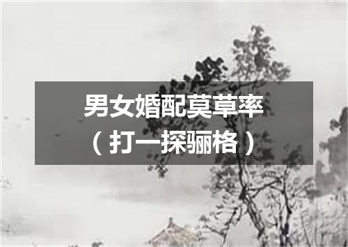 男女婚配莫草率（打一探骊格）