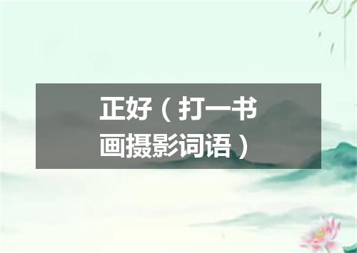 正好（打一书画摄影词语）