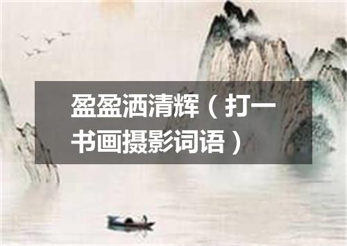 盈盈洒清辉（打一书画摄影词语）