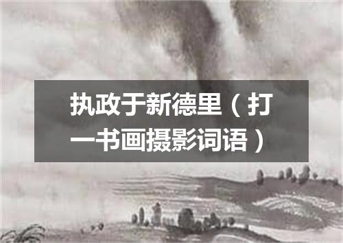 执政于新德里（打一书画摄影词语）