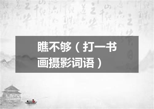 瞧不够（打一书画摄影词语）