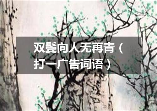 双鬓向人无再青（打一广告词语）