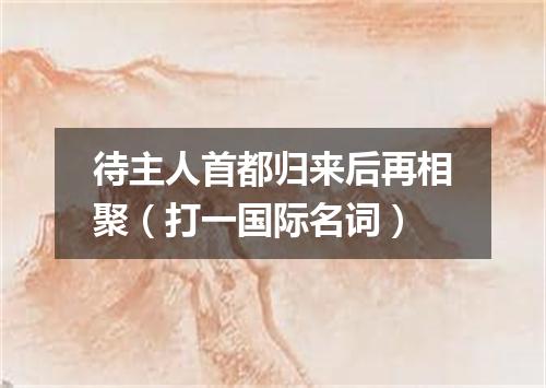 待主人首都归来后再相聚（打一国际名词）