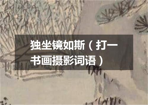 独坐镜如斯（打一书画摄影词语）