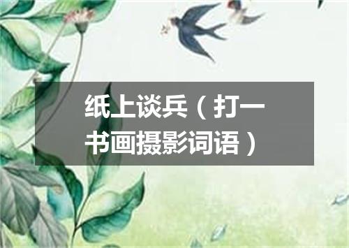 纸上谈兵（打一书画摄影词语）