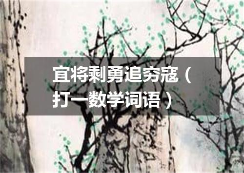 宜将剩勇追穷寇（打一数学词语）
