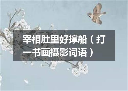 宰相肚里好撑船（打一书画摄影词语）