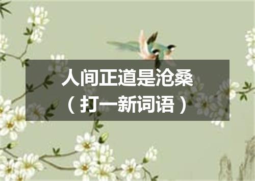 人间正道是沧桑（打一新词语）