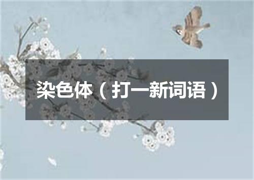 染色体（打一新词语）