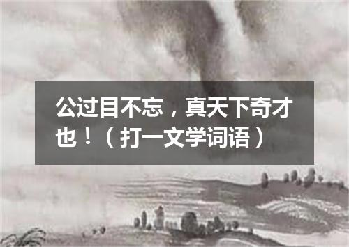 公过目不忘，真天下奇才也！（打一文学词语）