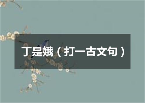 丁是娥（打一古文句）