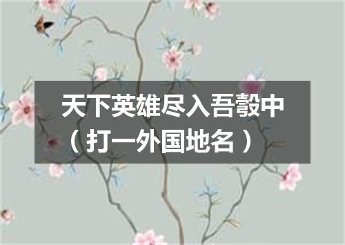 天下英雄尽入吾彀中（打一外国地名）