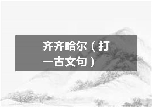 齐齐哈尔（打一古文句）