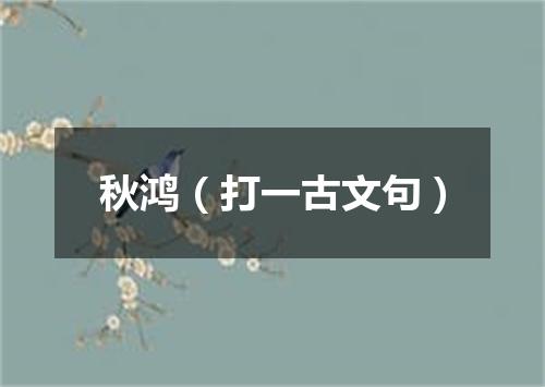 秋鸿（打一古文句）