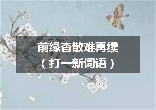 前缘杳散难再续（打一新词语）