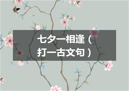 七夕一相逢（打一古文句）