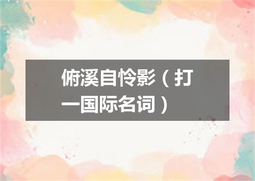 俯溪自怜影（打一国际名词）
