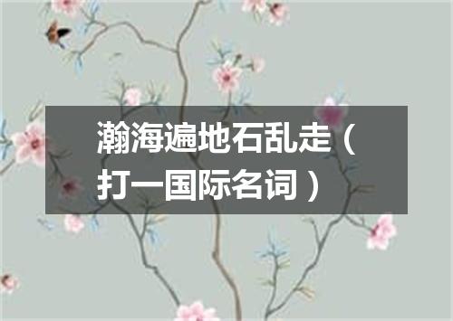 瀚海遍地石乱走（打一国际名词）