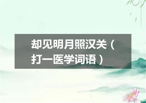 却见明月照汉关（打一医学词语）