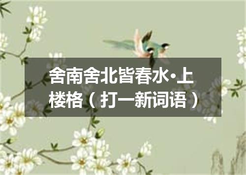 舍南舍北皆春水·上楼格（打一新词语）