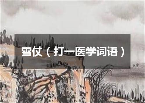 雪仗（打一医学词语）