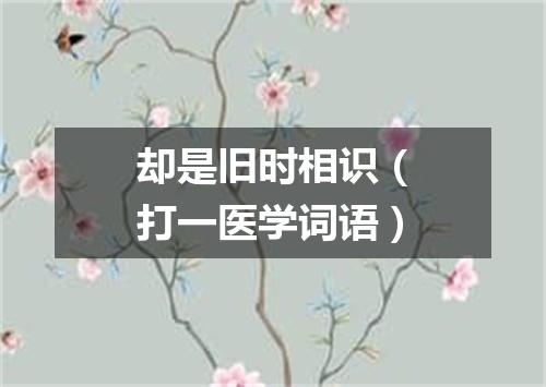 却是旧时相识（打一医学词语）